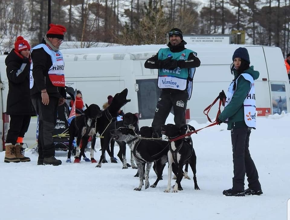 Cuatro medallas para Navarra en el Campeonato de España de Mushing Tierra